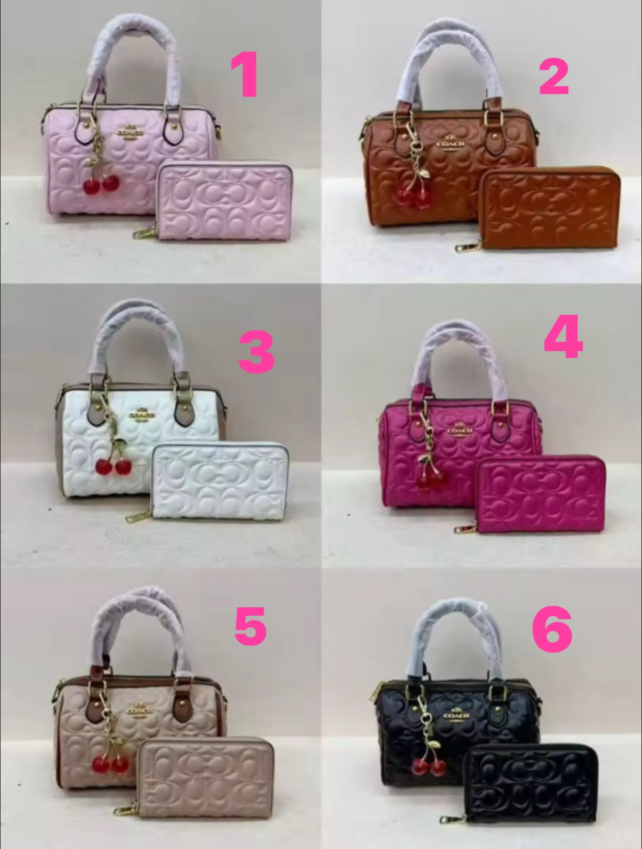 Coach Mini Rowan Bag with Wallet